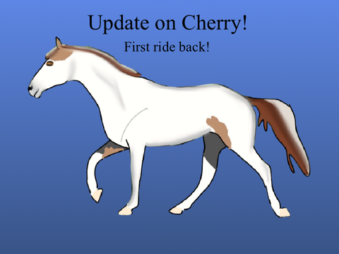 Update on Cherry!