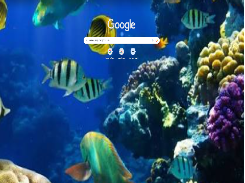 search