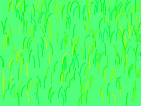 Grass.