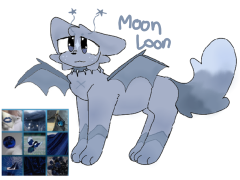 DMACE // Moon Loon