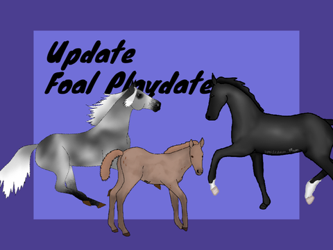 025. Update: Onyx gets ANOTHER playdate