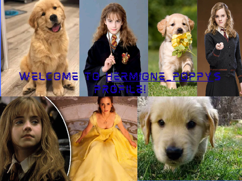 Banner by girlygirl349