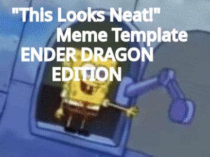 "This Looks Neat!" Meme Template ENDER DRAGON EDITION