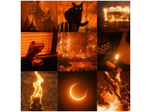 Moodboards for @-fowypaws-