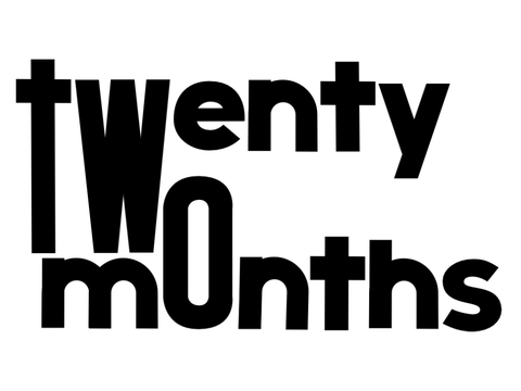 twenty two months