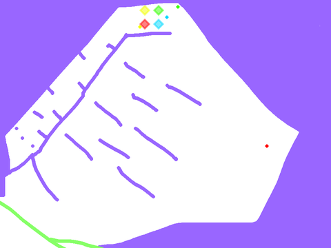 color race [3] 
