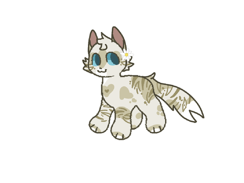Designs for @_melon_kitten_ 