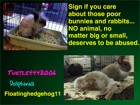 Sign to stop Bunny Mills! remix remix