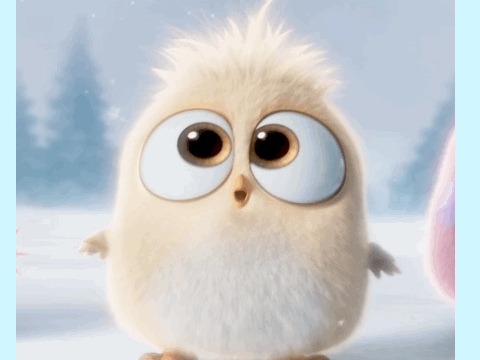 Bird! (sings a song (an annoying one!!!))