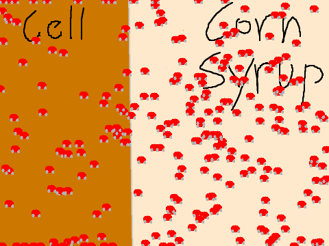 Scratch Egg Model--Molecular