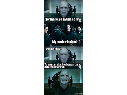 Hey!!!!!! An HP extravaganza!(Really Just Memes)