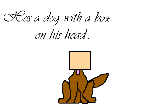 Dog with a box on his head
