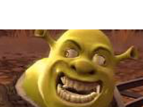 derp sherk