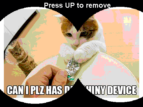 lolcatz!