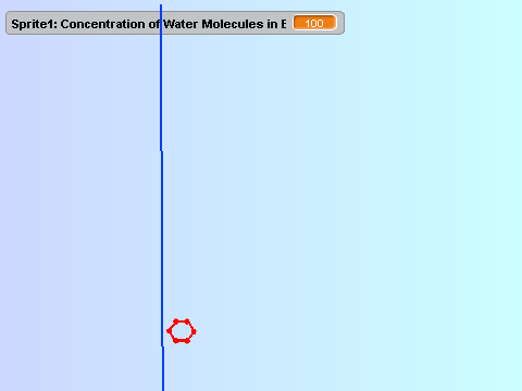 Scratch Osmosis Model
