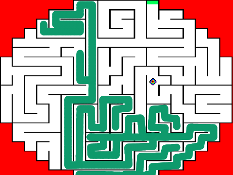 Maze Run