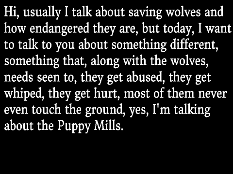 STOP PUPPY MILLS!!! remix remix