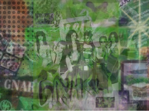 GNARLYYYYYYYYYYYYY