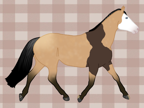✧ Caramel ✧