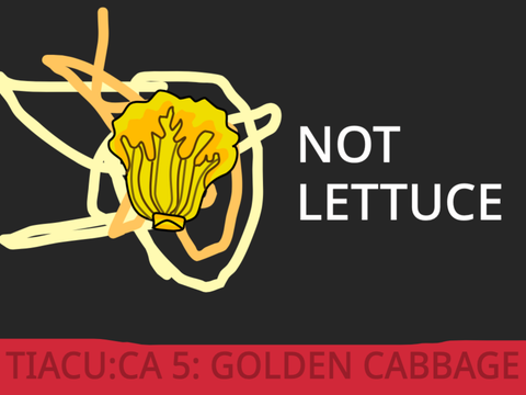 TIACU:CA 3A: Golden Cabbage