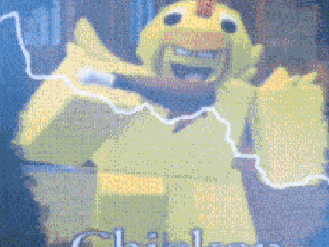 chicken