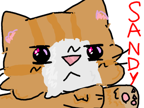 sandy fanart :3