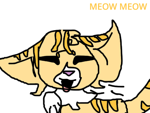 Meowmeow SANDY