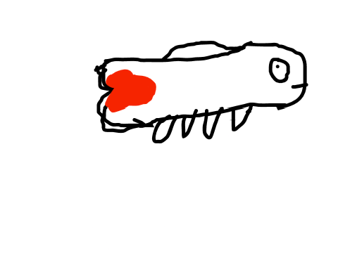 Sploge the fish