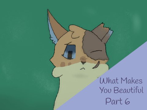  6 ~ What Makes You Beautiful
