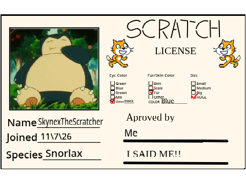 My scratch licence