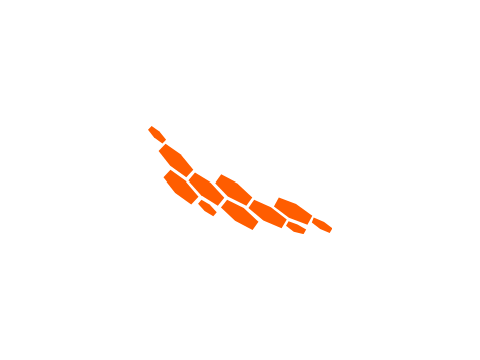 rekima's mark