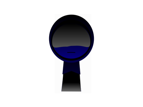 Phase 13 definitive leak 2