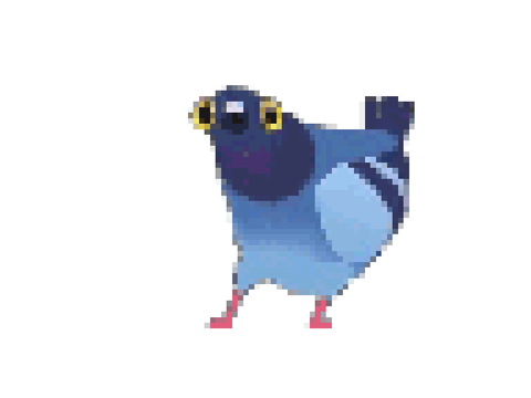 Dancing pigeon