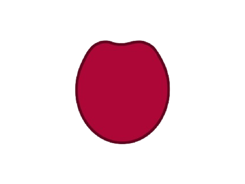 Cherry's Asset