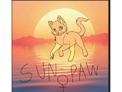 +sun paw+