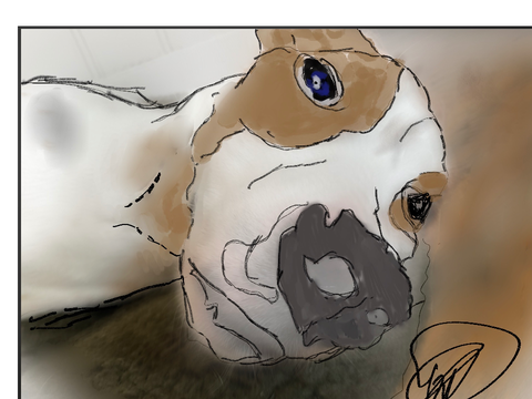 I drew my dog!