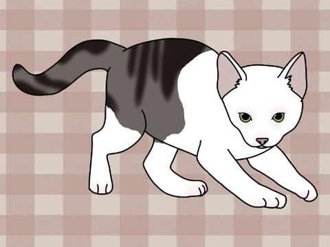 ✧ Pipsqueak ✧ 
