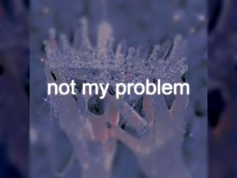 Not my problem remix