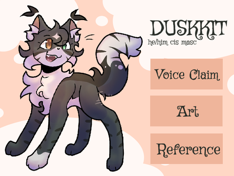 ⟢「 Duskkit's Royal Regime 」