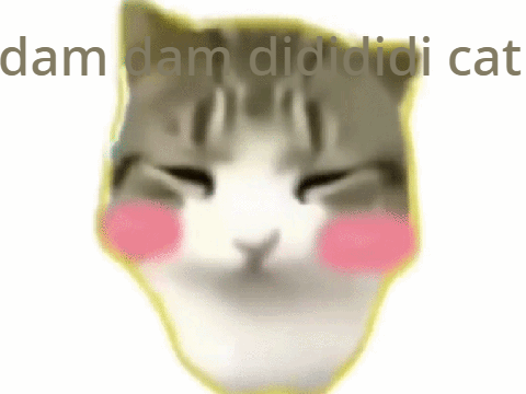 dam dam didididi cat