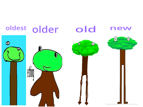 treedude designs