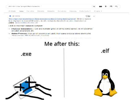 funny meme