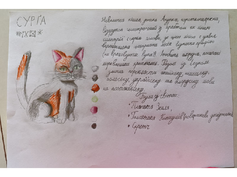 СУРҐА ДЖОІНС ЗЕ ТІМ