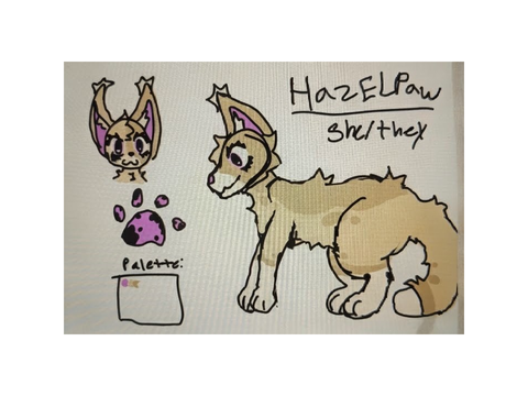 ThicketClan Ref! (Hazelpaw)