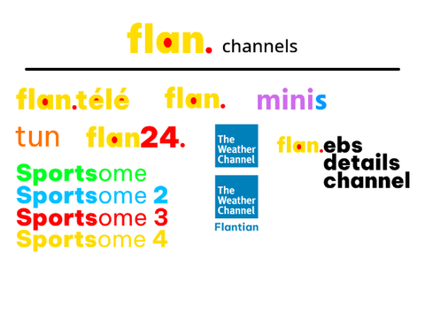 flan brands