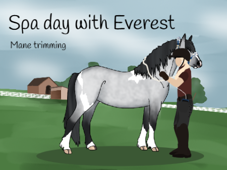 Spa day with Everest | Mane Trimming