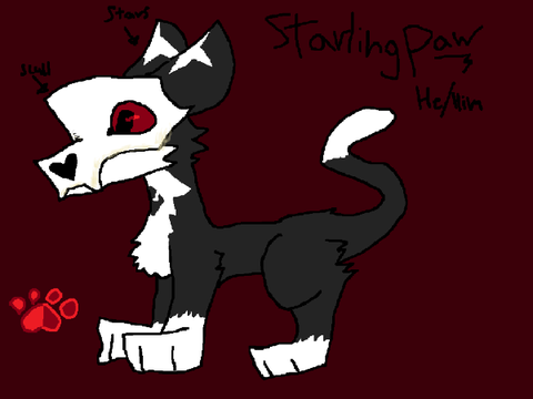 New wc oc meow