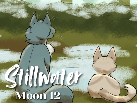 Moon 12 | Stillwater
