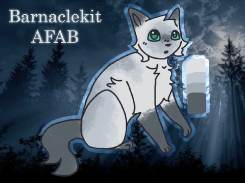 Barnacled Beginnings -application-