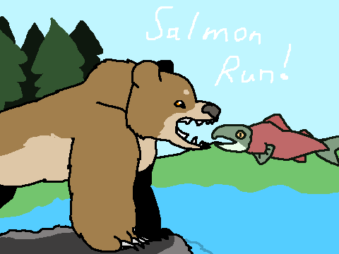 Salmon Run!